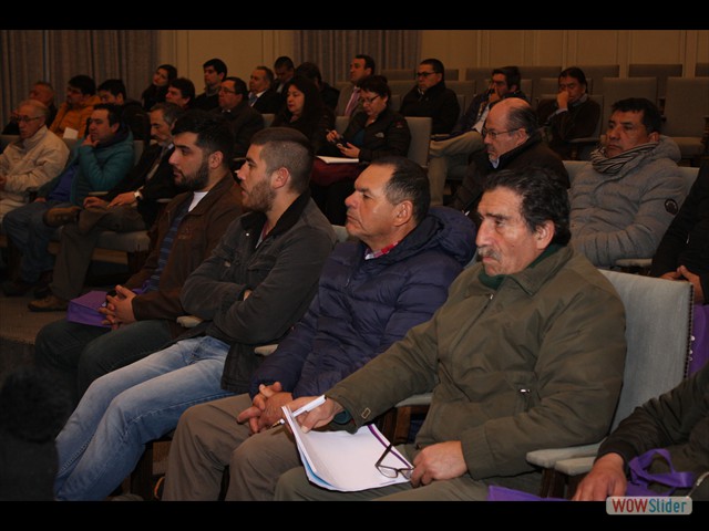 IMG_1 (58)_JPG